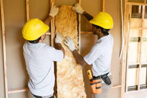 Reliable Afton, WY Insulation Solutions